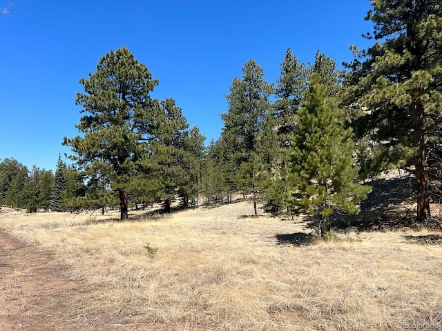 1500 Bunker Hill Rd, Westcliffe, CO 81252
