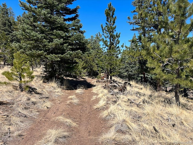 1500 Bunker Hill Rd, Westcliffe, CO 81252