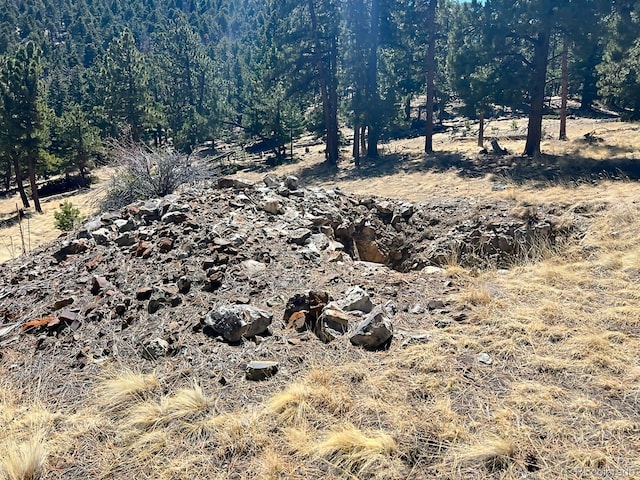 1500 Bunker Hill Rd, Westcliffe, CO 81252
