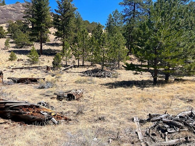 1500 Bunker Hill Rd, Westcliffe, CO 81252