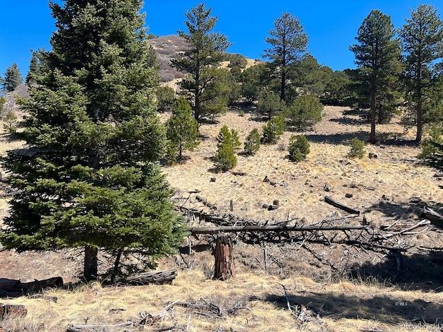 1500 Bunker Hill Rd, Westcliffe, CO 81252