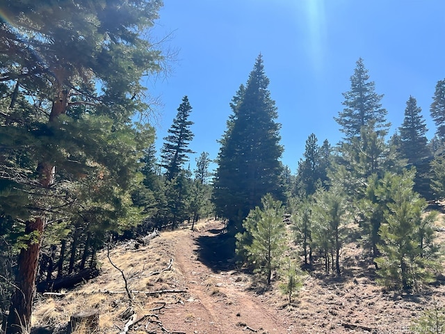 1500 Bunker Hill Rd, Westcliffe, CO 81252
