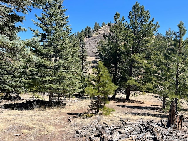 1500 Bunker Hill Rd, Westcliffe, CO 81252