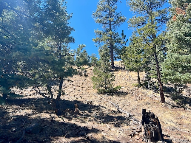 1500 Bunker Hill Rd, Westcliffe, CO 81252