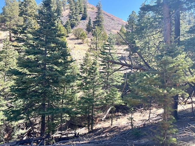 1500 Bunker Hill Rd, Westcliffe, CO 81252