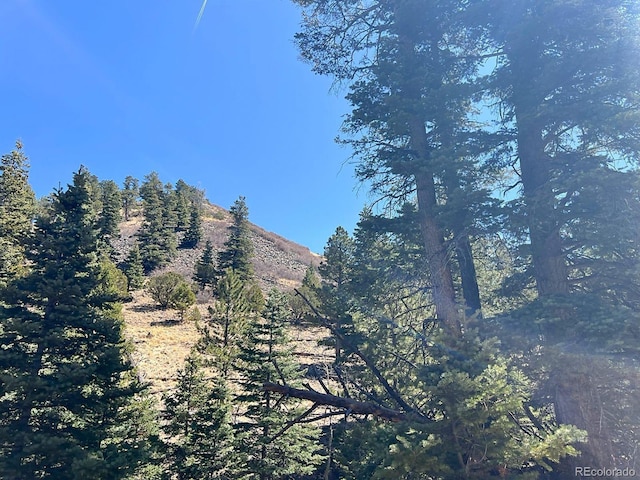 1500 Bunker Hill Rd, Westcliffe, CO 81252