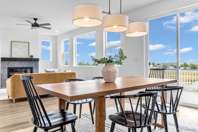 900 Eldorado Ln, Louisville, CO 80027 - dining space featuring light wood finished floors, plenty of natural light, and a fireplace