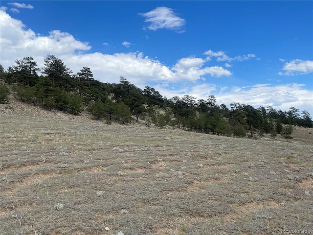 00 Lakeview Dr, Hartsel, CO 80449 - photo 10