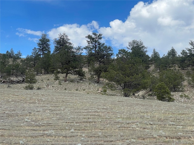 00 Lakeview Dr, Hartsel, CO 80449 - photo 11