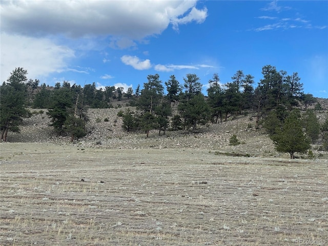 00 Lakeview Dr, Hartsel, CO 80449 - photo 12