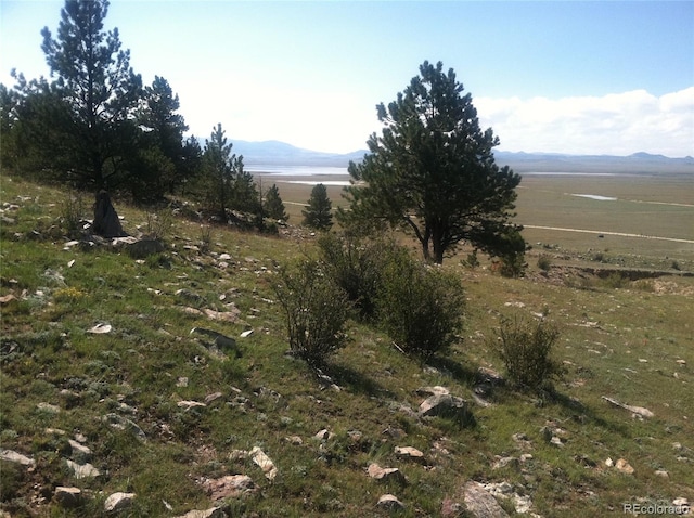 00 Lakeview Dr, Hartsel, CO 80449 - photo 19