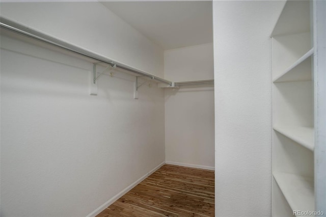 walk in closet with dark hardwood / wood-style floors