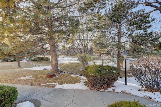 view of yard layered in snow