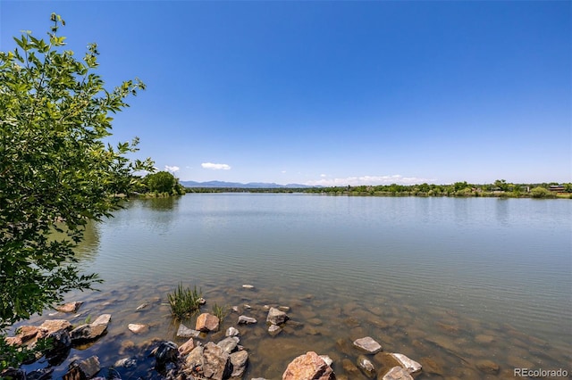 1495 Vrain St Unit 110, Denver, CO 80204 - water view with a mountainous background