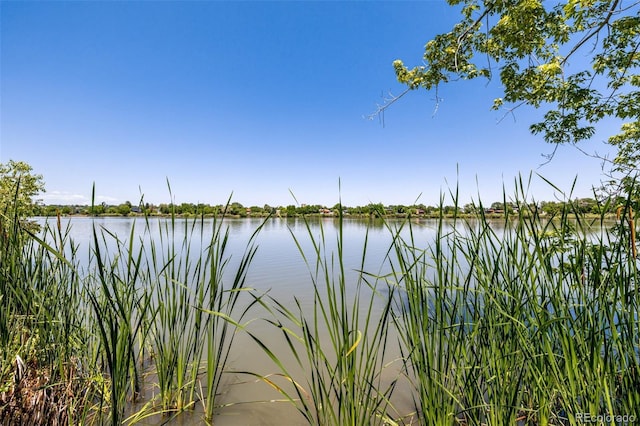 1495 Vrain St Unit 110, Denver, CO 80204 - water view