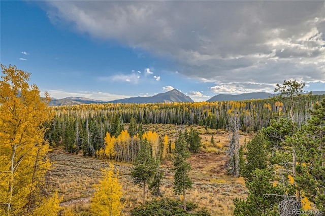 view of mountain feature