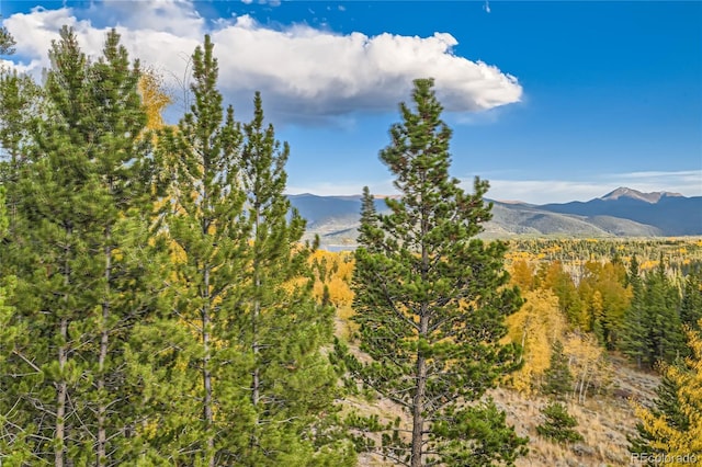 property view of mountains