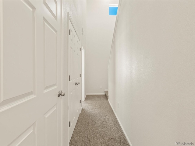 corridor featuring carpet floors