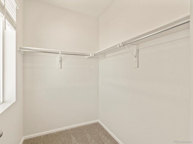 walk in closet featuring carpet