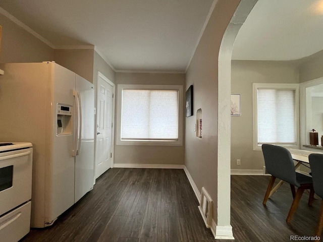 kitchen featuring dark hardwood / wood-style floors, plenty of natural light, white appliances, and ornamental molding