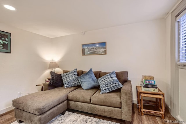 living room featuring hardwood / wood-style flooring