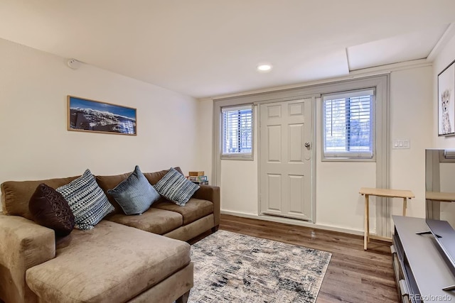 living room featuring hardwood / wood-style floors and plenty of natural light