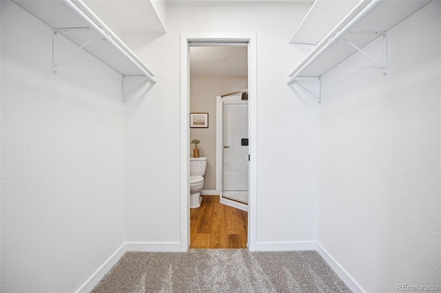 spacious closet featuring carpet floors