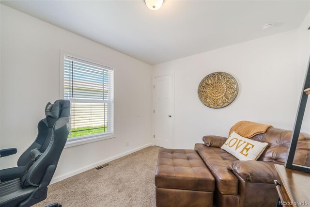 4163 Gray Fox Hts, Colorado Springs, CO 80922 - photo 26