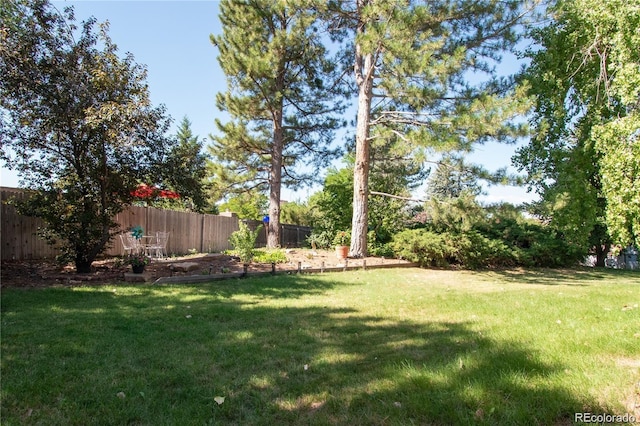 8664 E Monmouth Pl, Denver, CO 80237 - view of yard
