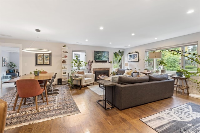 living room featuring wood-type flooring