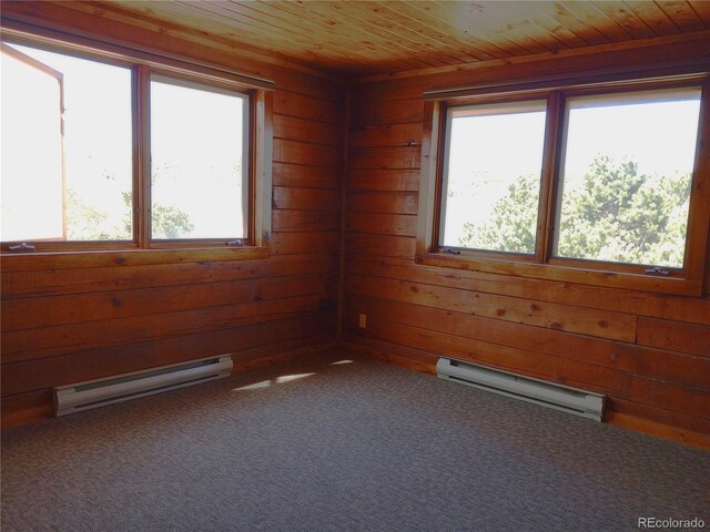 37543 Pierrepont Rd, Fort Garland, CO 81133 - photo 19