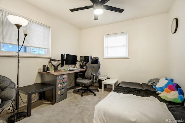 1231 W Radcliff Ave, Englewood, CO 80110 - photo 18