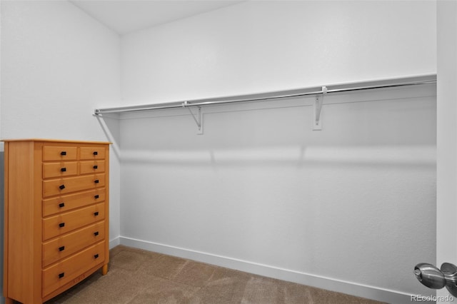 8187 Mount Kataka St, Littleton, CO 80125 - photo 26