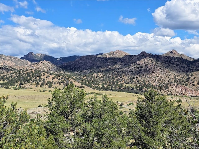 24938 US Highway 50, Cotopaxi, CO 81223 - view of mountain backdrop