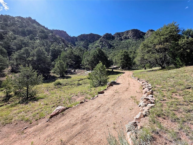 24938 US Highway 50, Cotopaxi, CO 81223 - view of mountain backdrop featuring a heavily wooded area