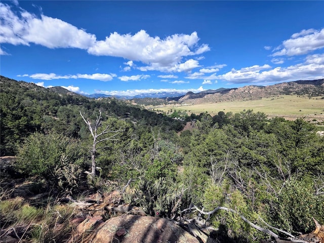 24938 US Highway 50, Cotopaxi, CO 81223 - mountain view