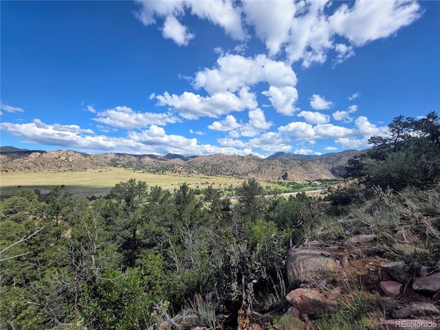 24938 US Highway 50, Cotopaxi, CO 81223 - view of mountain background