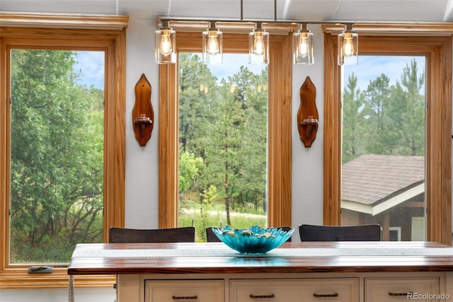 8662 Kim Ct, Parker, CO 80134 - photo 11