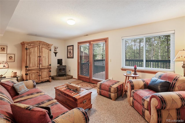 451 Evergreen Ct, Woodland Park, CO 80863 - photo 12