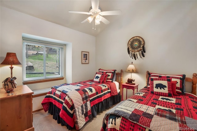 451 Evergreen Ct, Woodland Park, CO 80863 - photo 22