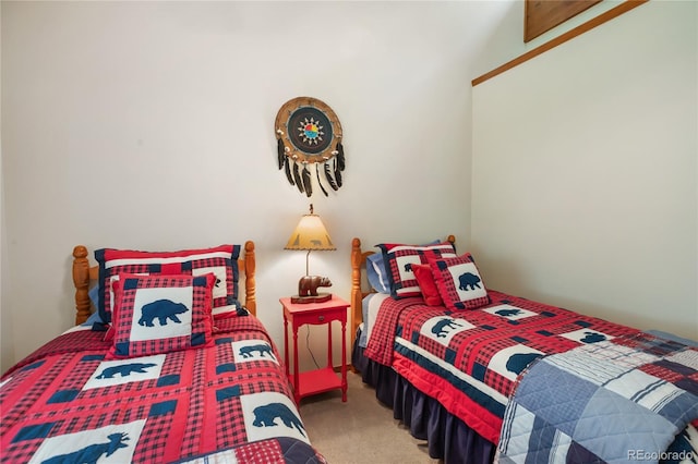 451 Evergreen Ct, Woodland Park, CO 80863 - photo 23