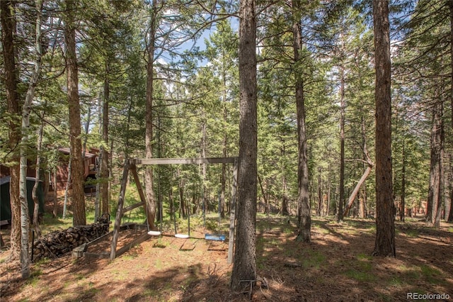 451 Evergreen Ct, Woodland Park, CO 80863 - photo 27