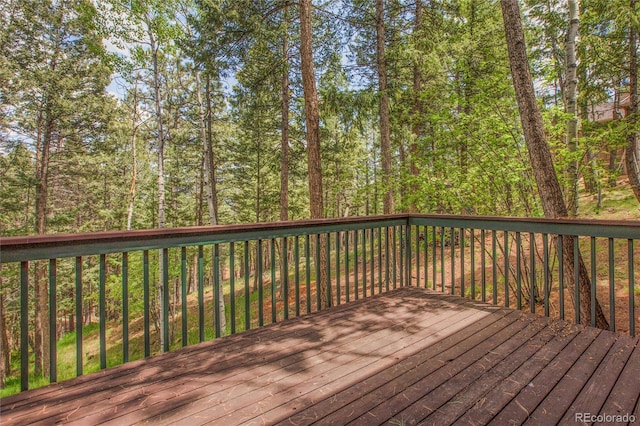 451 Evergreen Ct, Woodland Park, CO 80863 - photo 28
