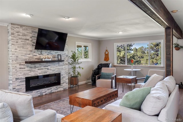 living room with wood-type flooring, a stone fireplace, and ornamental molding