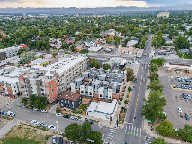 birds eye view of property featuring a mountain view