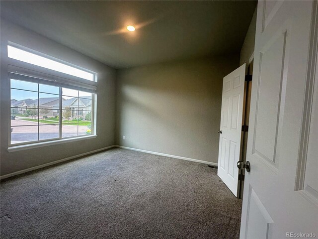 6652 Golden Briar Ln, Colorado Springs, CO 80927 - photo 29