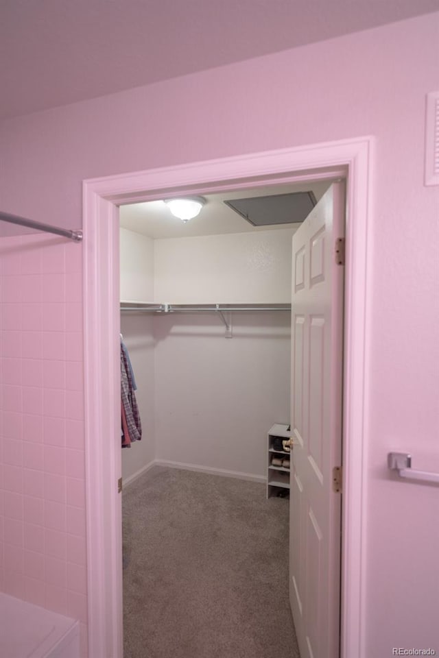 8200 E 8th Ave Unit 1203, Denver, CO 80230 - spacious closet with carpet floors