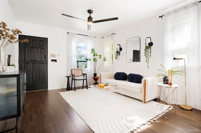 living room featuring dark hardwood / wood-style flooring, radiator, and ceiling fan