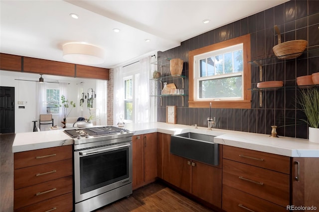 kitchen with sink, a wealth of natural light, dark hardwood / wood-style flooring, and stainless steel gas stove