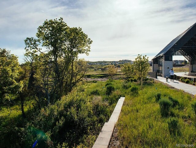 1962 Canyonpoint Ln, Castle Pines, CO 80108 - view of yard